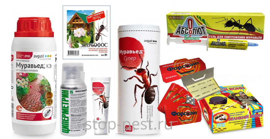Примеры инсектицидов для контроля численности муравьев