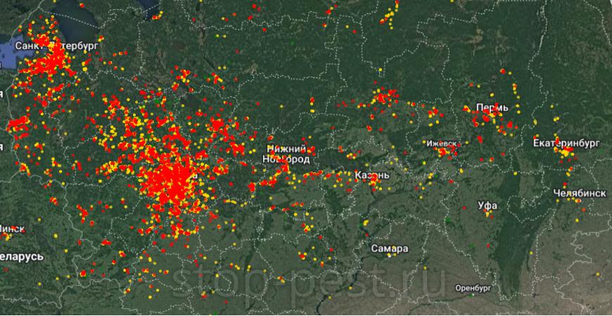 Скриншот карты распространения борщевика Сосновского по территории России, по состянию на август 2022г.