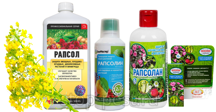 "Рапсол", "Рапсолин", "Рапсолан" - биопрепараты на основе рапсового масла от болезней и вредителей растений