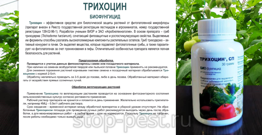 "Трихоцин, СП" - биофунгицид для предпосевной обработки семян и обработки вегетирующих растений (упаковка банка 30гр.)