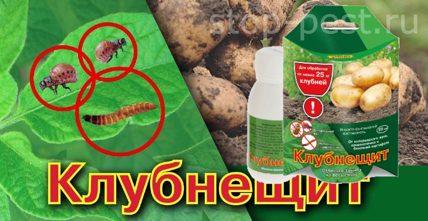 "Клубнещит" для предпосадочной обработки картофеля от насекомых - вредителей и болезней
