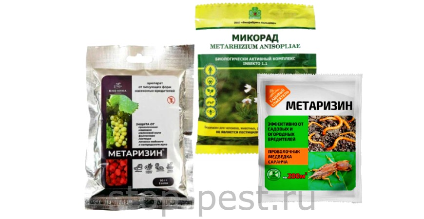 Метаризин - биоинсектицид от почвенных вредителей (инструкция по применению)