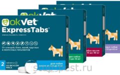 Таблетки для собак «ЭкспрессТабс» от клещей (полная инструкция, +противопоказания, +отзывы)
