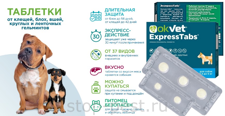 Особенности применения таблетки для собак "ЭкспрессТабс" от клещей, бох, гельминтов, вшей и пр.